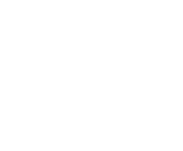 Evolution games at Bets Palace Casino